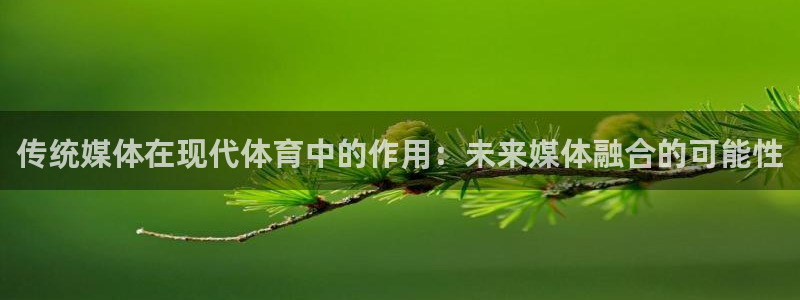 vsport体育：传统媒体在现代体育中的作用：未来媒体融合的可能性