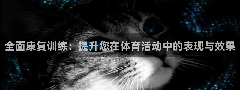 vsport体育在线官网：全面康复训练：提升您在体育活动中的表现与效果