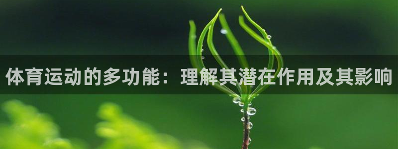 vsport体育：体育运动的多功能：理解其潜在作用及其影响