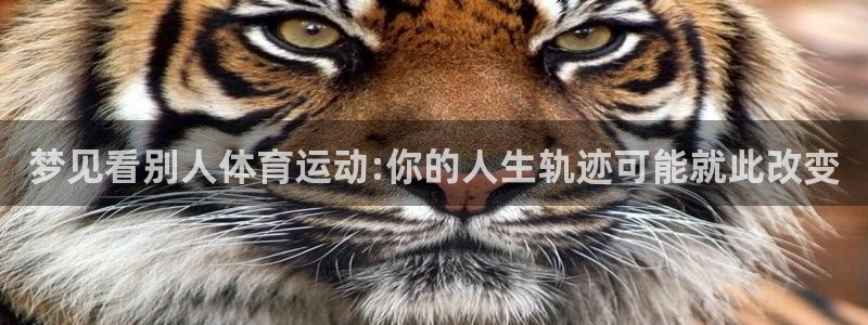 vsport体育在线官网：梦见看别人体育运动:你的人生轨迹可能就此改变