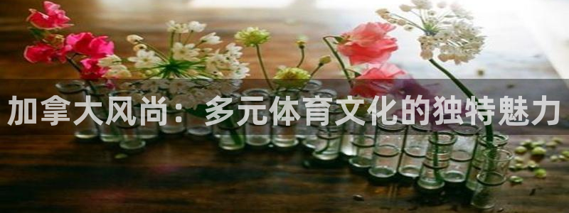 vsport体育：加拿大风尚：多元体育文化的独特魅力