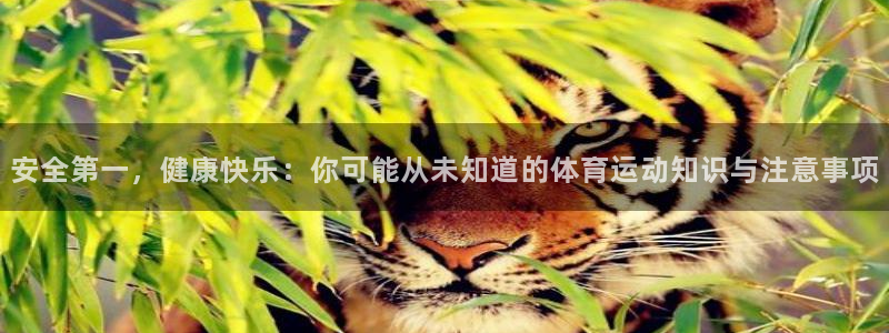 vsport体育在线官网：安全第一，健康快乐：你可能从未知道的体育运动知识与注意事项