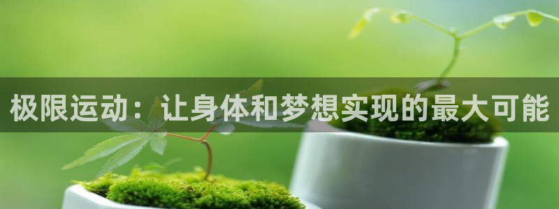 vsport体育在线官网：极限运动：让身体和梦想实现的最大可能