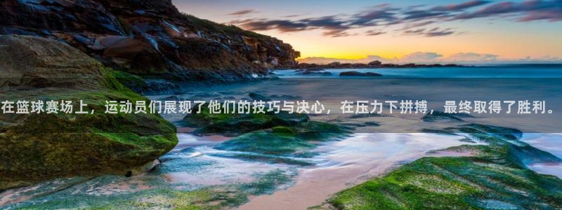 vsport体育在线官网：在篮球赛场上，运动员们展现了他们的技巧与决心，在压力下拼搏，最终取得了胜利。