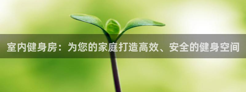 vsport体育在线官网：室内健身房：为您的家庭打造高效、安全的健身空间