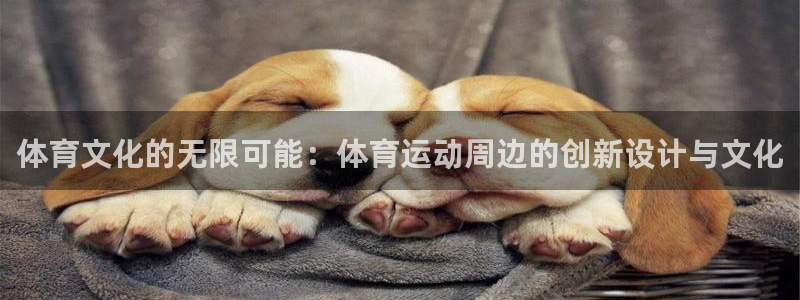 vsport体育在线官网：体育文化的无限可能：体育运动周边的创新设计与文化