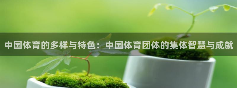 vsport体育：中国体育的多样与特色：中国体育团体的集体智慧与成就