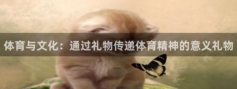 vsport体育：体育与文化：通过礼物传递体育精神的意义礼物
