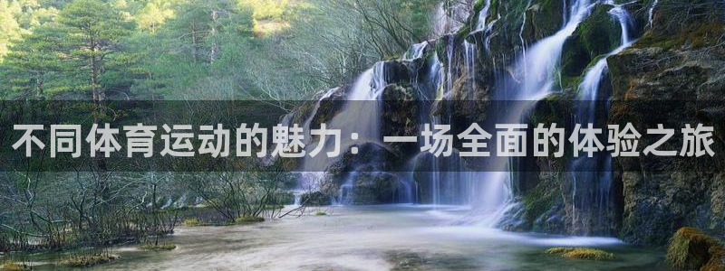 vsport体育在线官网：不同体育运动的魅力：一场全面的体验之旅