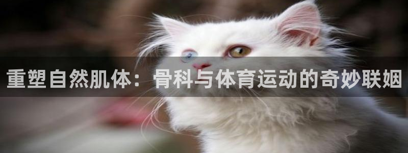 vsport体育：重塑自然肌体：骨科与体育运动的奇妙联姻
