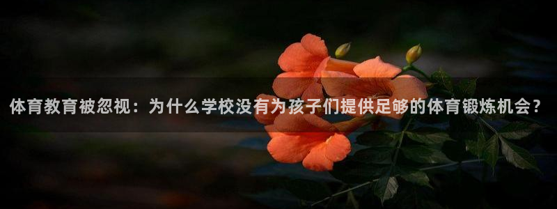 vsport体育在线官网：体育教育被忽视：为什么学校没有为孩子们提供足够的体育锻炼机会？