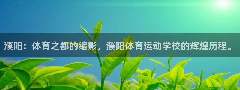 vsport体育在线官网：濮阳：体育之都的缩影，濮阳体育运动学校的辉煌历程。